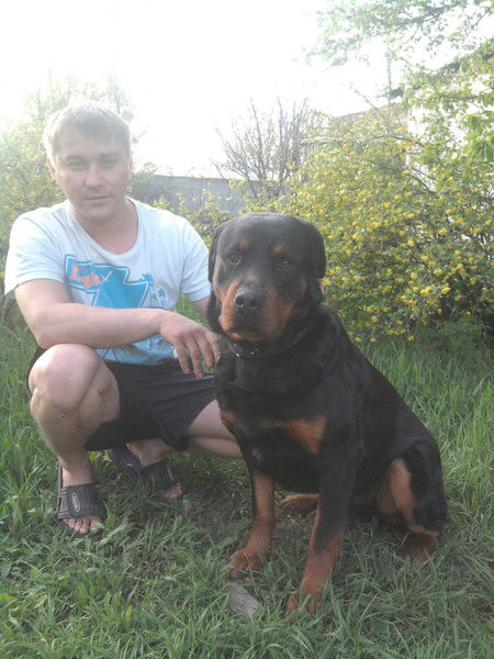 Павел Марков