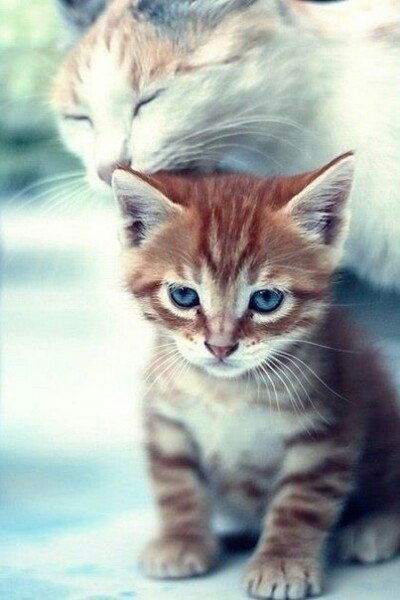 Мария Кочедыкова