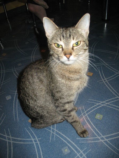 Наталья Крук