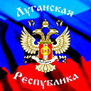 Дарья Швец