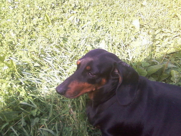 Ольга Тяпушкина