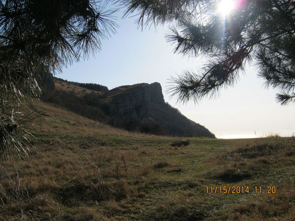 Лена Кузнецова