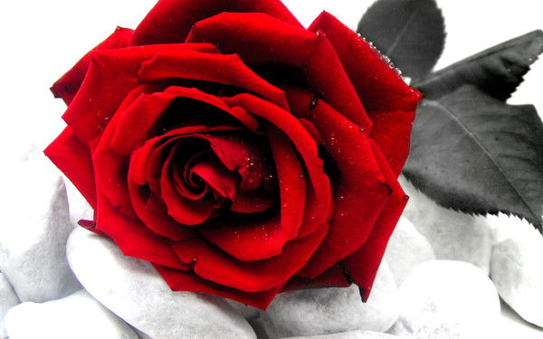 Гульнар Головачёва