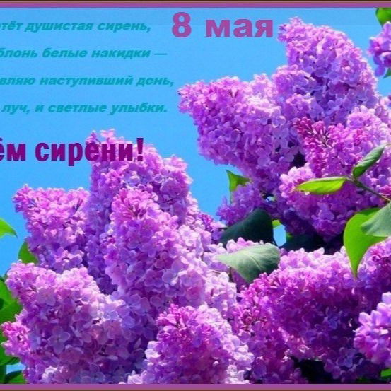 Харитонова Любовь