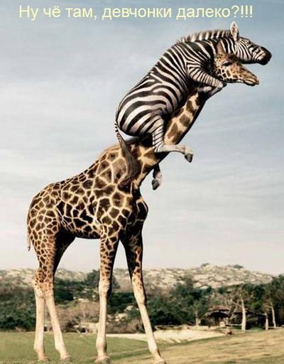 Алексей Букарёв