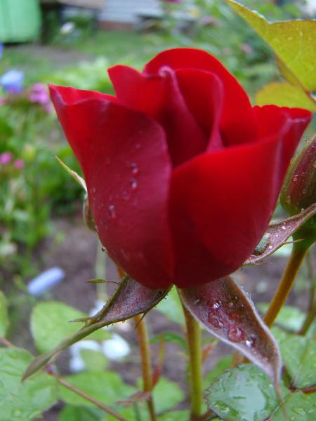 Ольга Кузнецова