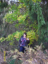 Светлана Богач