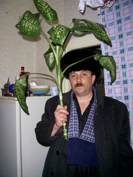 Александр Сударев