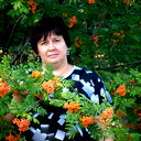 Елена Лосева