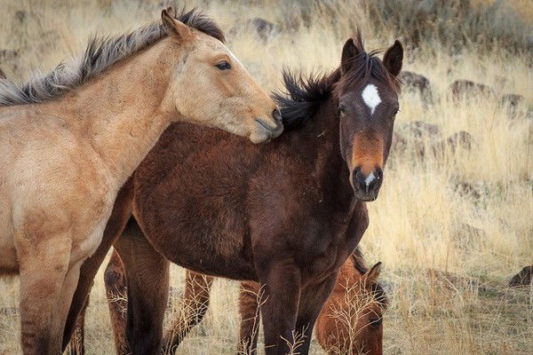 Любовь Полякова