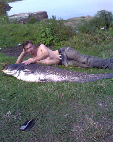 Александр Клюев