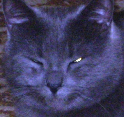 Иван Степанов