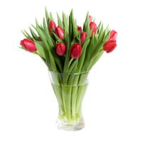 Администрация Краснозаводск