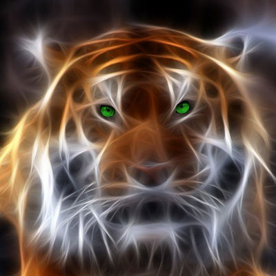 Антон Николаев