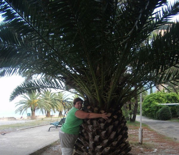 Марина Николаева