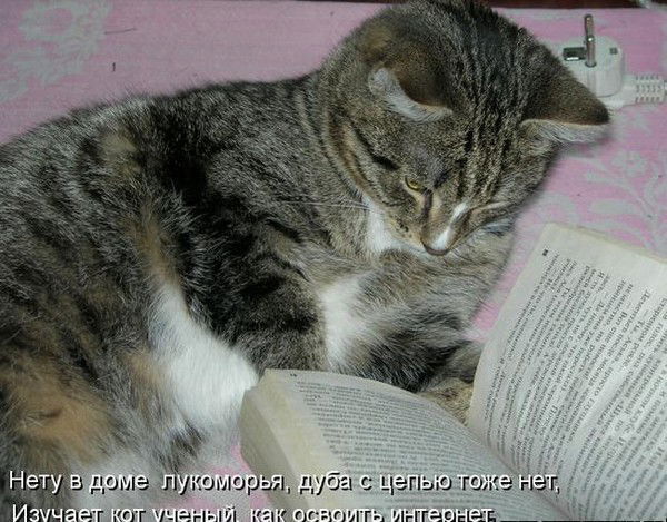 Лариса Кузнецова