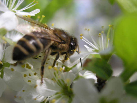 Юрий Арнаутов