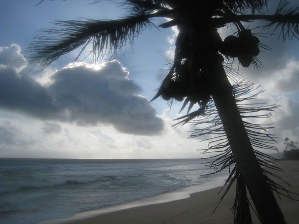 Александр Сидоров