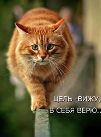 Андрей Стерлядников