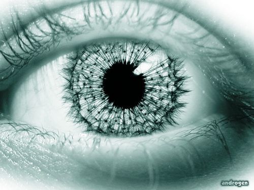 Илья Булатов