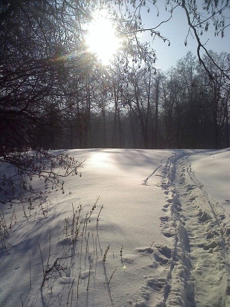 Контур Измайлово