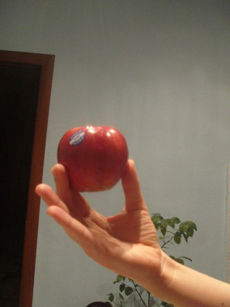 Светлана Потапова