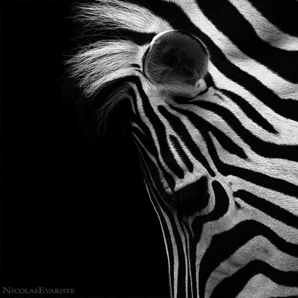 Валерия Савченко