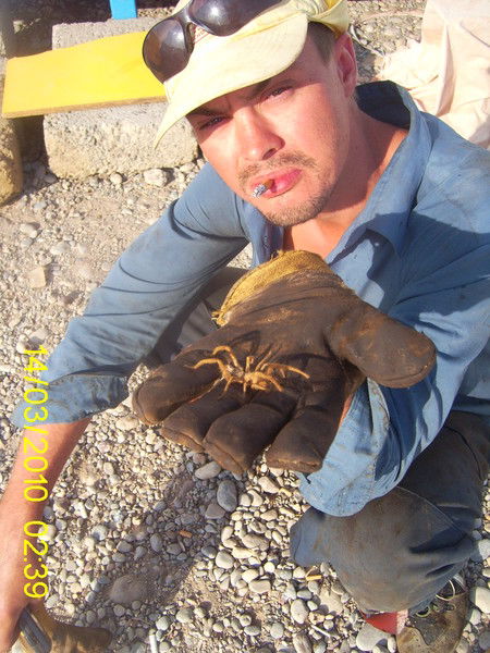 Сергей Сергеевич Клюка