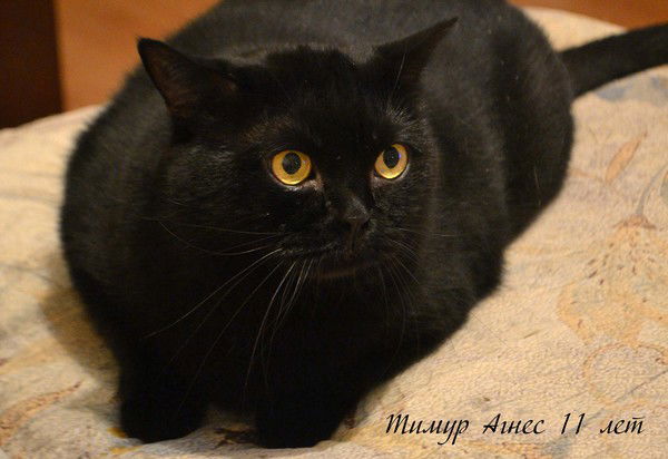 Ольга Гладкова