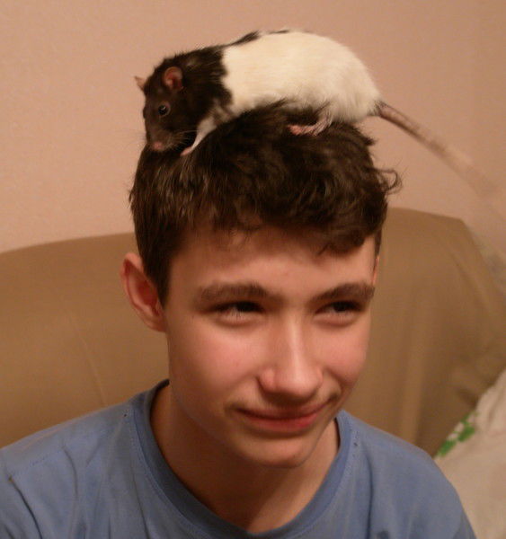 Владимир Тихонов