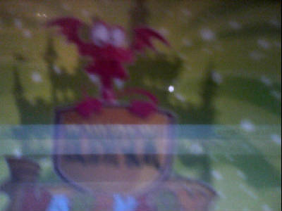 Ердаулет Нуркеев