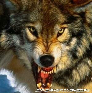 Юрий Токорев