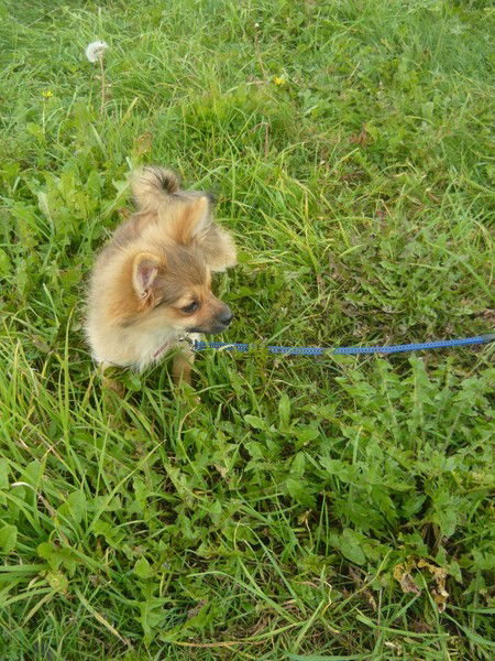 Нина Пятаева