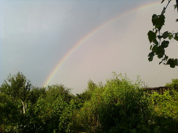 Падиша (Марина) Топалова