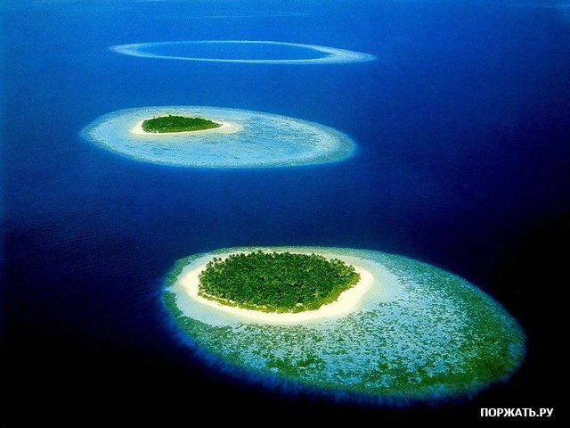 Ваня Цвеков