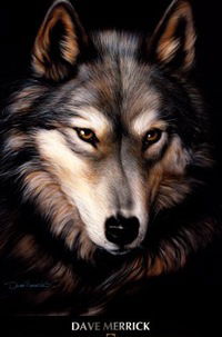 Диана Васина