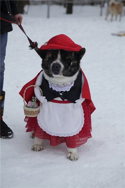 Марина Мойсеяк