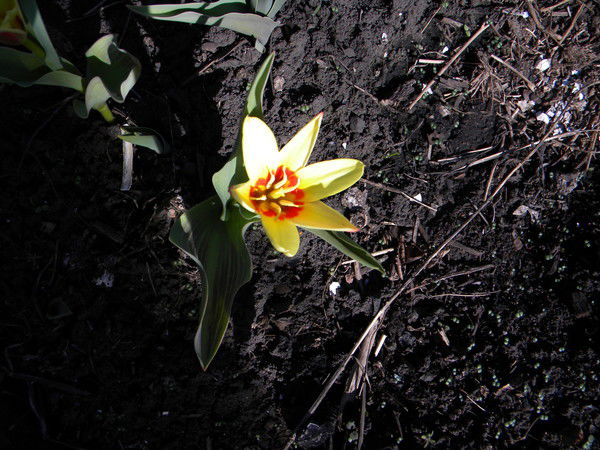 Маша Киселева