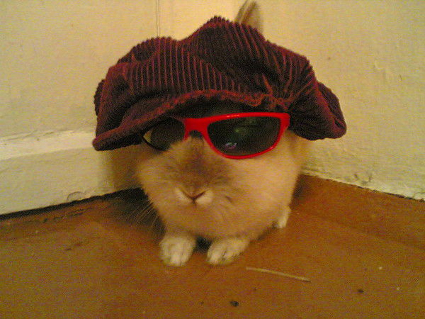 Слава Чеданов