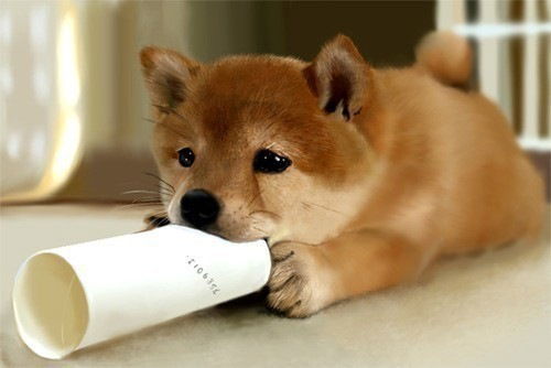 Олег Кожевников