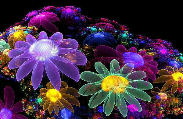 Ольга Дорошенко