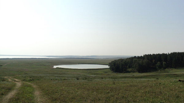 Светлана Черкасова-Пирназарова