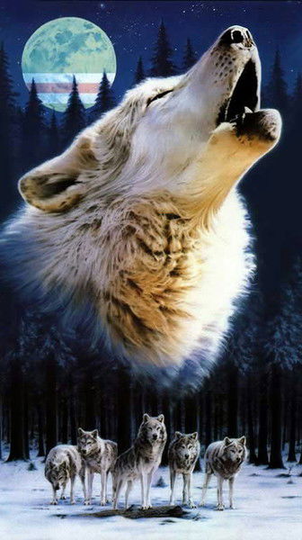 Бекжан Калжан