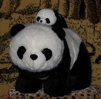 Жанар Молдаханова