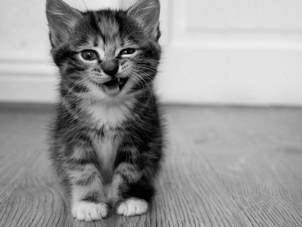 Маргарита Громова