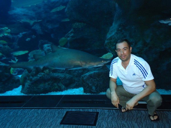 Шамиль Шамиров