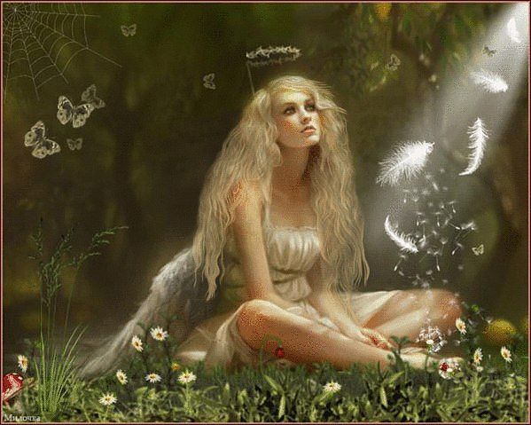 Лариса Волошаненко