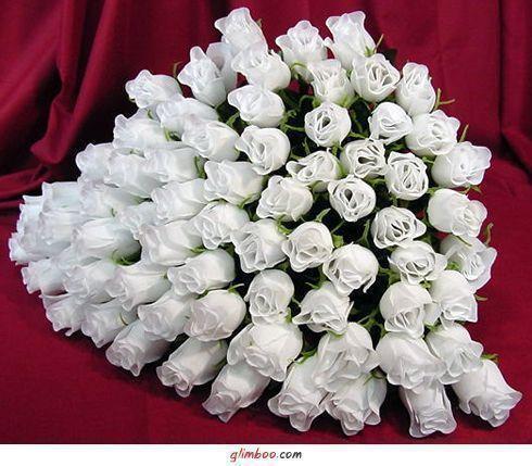 Элина Казыбекова