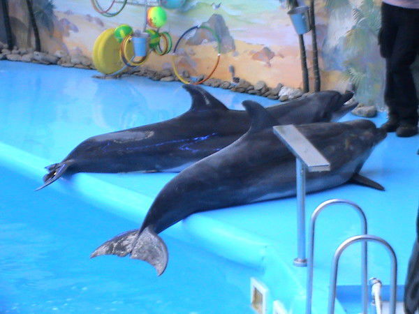 Евгений Радько