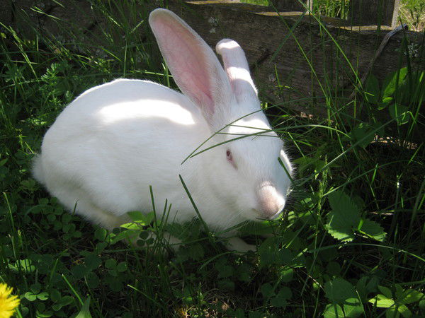 Сергей Закиров